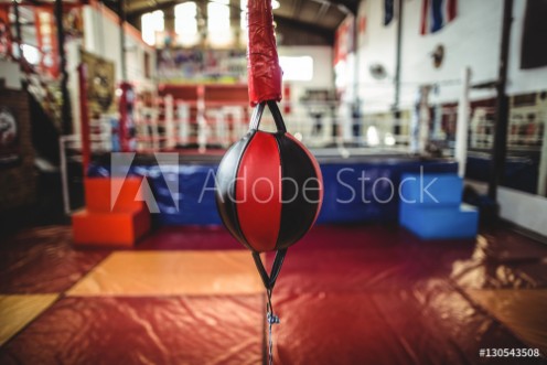 Bild på Speed boxing ball in fitness studio